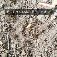 画像329