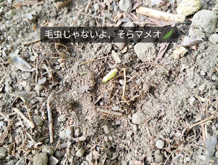 画像329