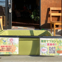画像331