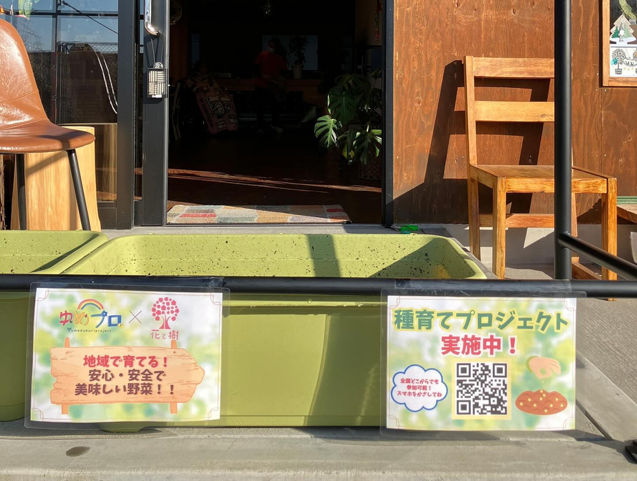 画像331