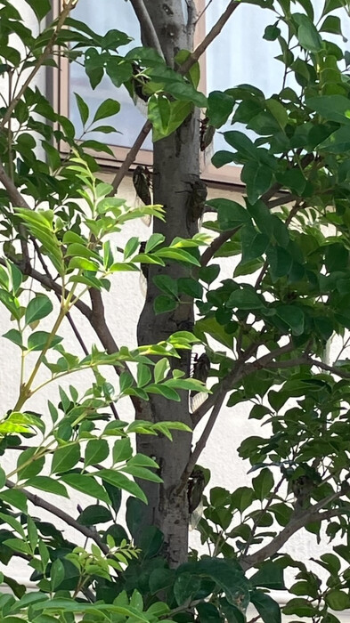 画像389