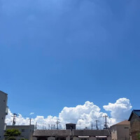 画像428